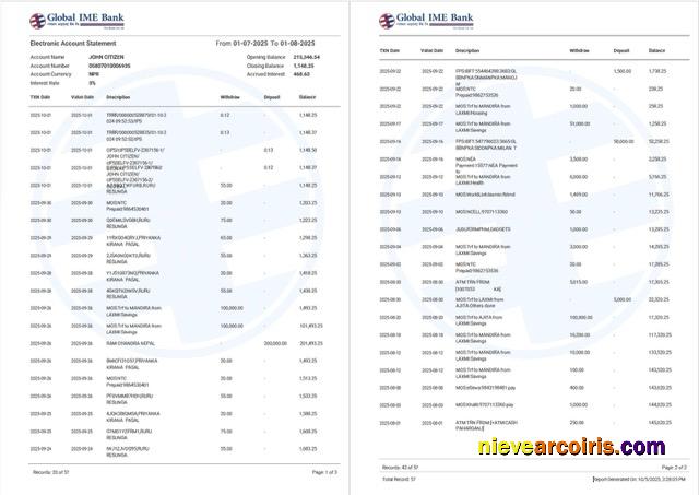 India Global Ime Bank account statement Word and PDF, 2 pages